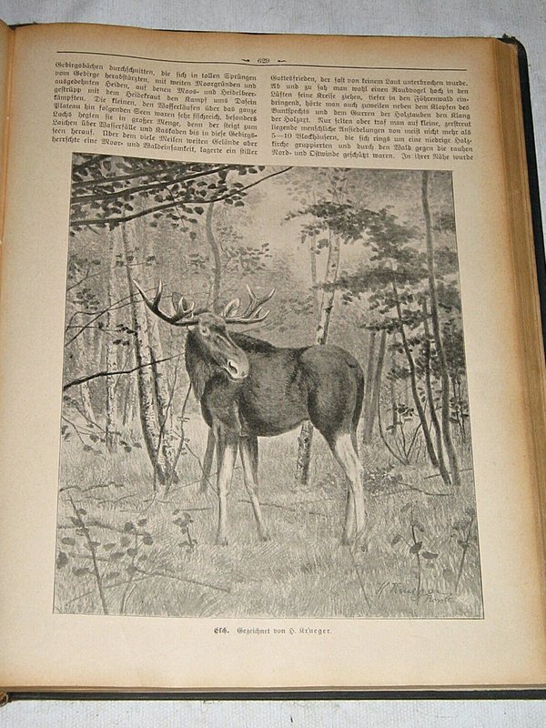 Der Weidmann 1912 ~ Illustrierte Jagdzeitschrift