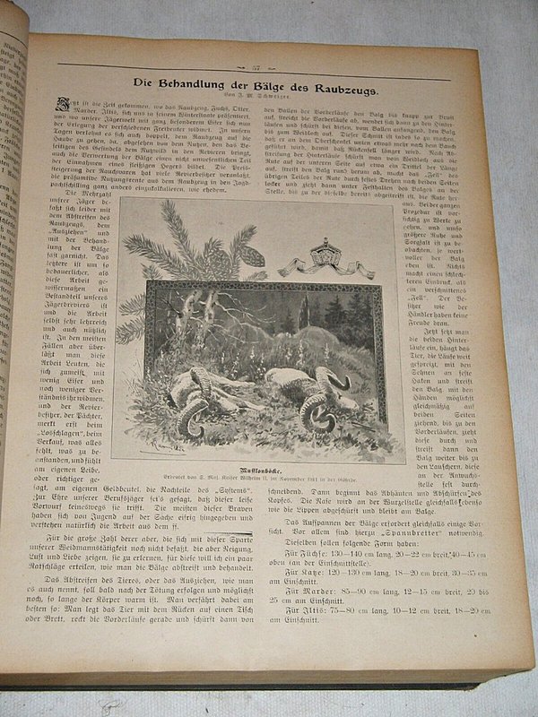 Der Weidmann 1912 ~ Illustrierte Jagdzeitschrift