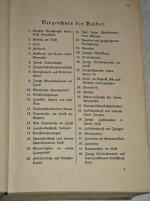 Hermann Löns - Was ich unter Tieren erlauschte ~ um 1925 ~ bebildert