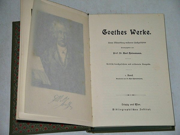 30 Jugendstil-Bände Goethes Werke ~ hrsg. Prof. Dr. Karl Heinemann ~ um 1900