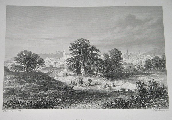 Stahlstich um 1850 ~ Damascus (vom Palmyra-Thore aus)