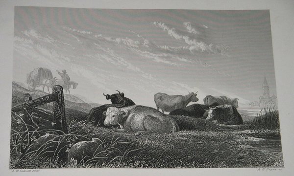 Stahlstich um 1845 ~ Eine Herde