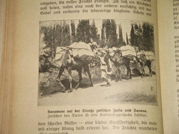 Walter K. Ising - Unter den Arabern im Morgenlande ~ 1924