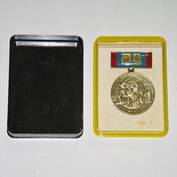 Medaille "Jungaktivist" ~ um 1980