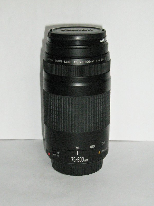 Canon Objektiv EF 75-300mm 1:4-5,6 II mit Etui