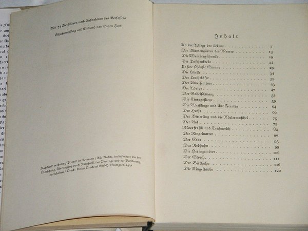 Franz Graf Zedtwitz - Charakterbilder aus der deutschen Tierwelt ~ 1941
