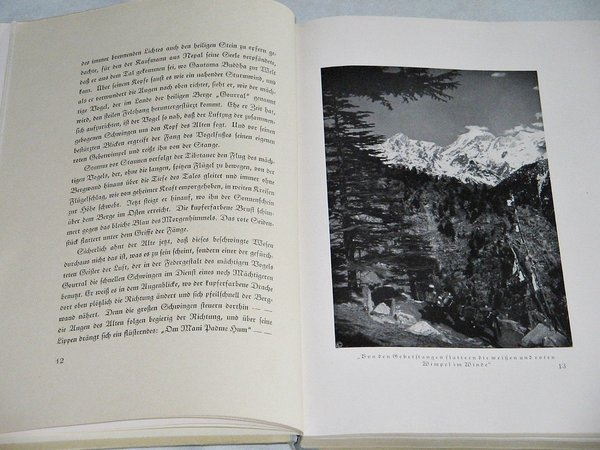 Bengt Berg - Der Lämmergeier im Himalaya ~ 1942