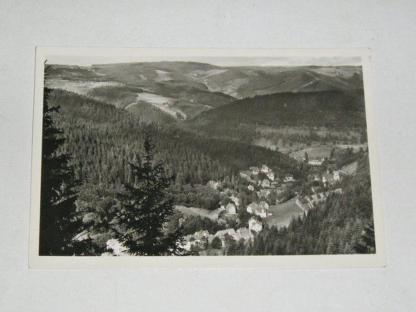 Ansichtskarte Triberg - Panorama ~ um 1950