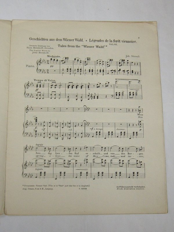 Geschichten aus dem Wienerwald von Johann Strauss ~ um 1910