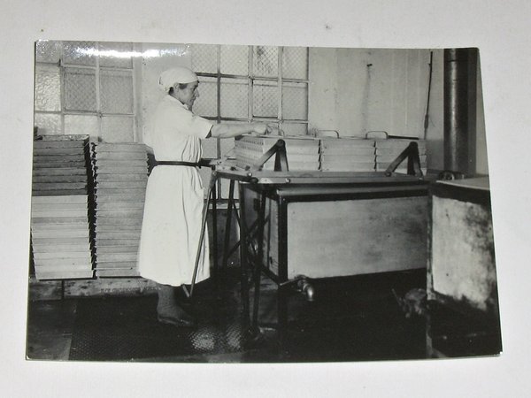 9 Fotos "Fischkonservenfabrik" um 1925