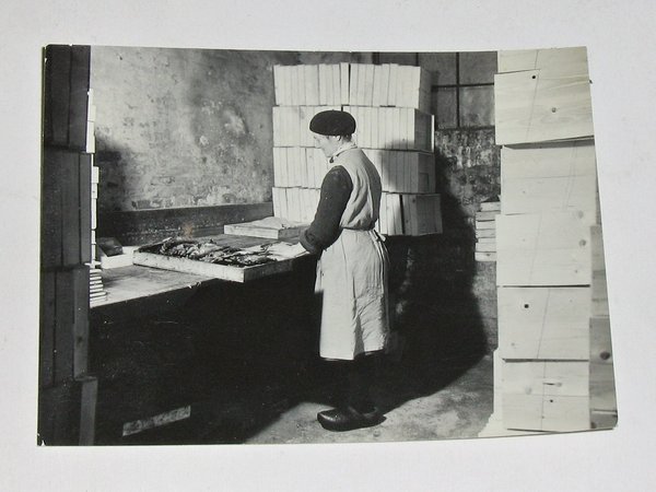 9 Fotos "Fischkonservenfabrik" um 1925