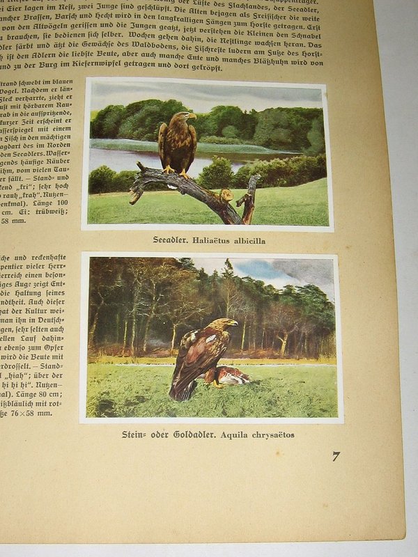 Sammelbilder-Album Aus Deutschlands Vogelwelt