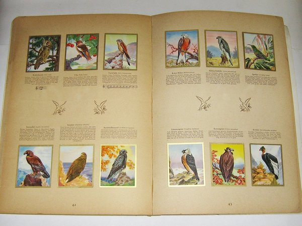 Sammelbilder-Album Die Farbenpracht der Vogelwelt